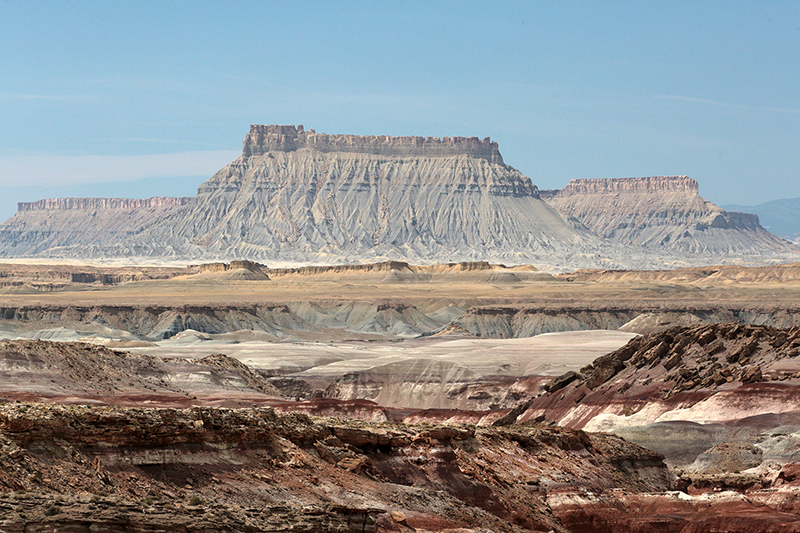 Bison : Antelope Island : Utah : Landscape Photos : Richard Moore : Photographer